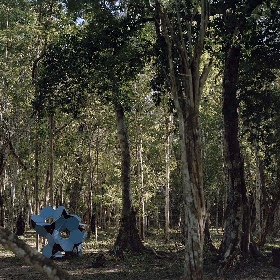 Hexagonal form set among dense jungle growth, Calakmul